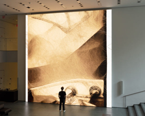 Refik Anadol's Unsupervised (Museum of Modern Art, 2022)