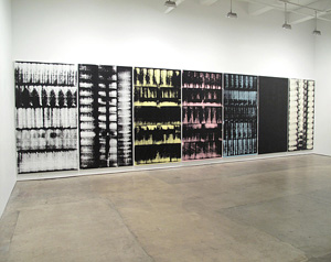 Skyler Brickley's Wall to Wall (Marvelli gallery, 2009)