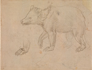 Leonardo da Vinci's A Bear Walking (Metropolitan Museum, c. 1482–1485)