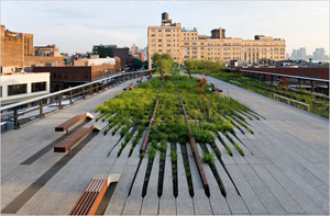 The High Line (photo by Iwan Baan, Friends of the High Line, 2009)