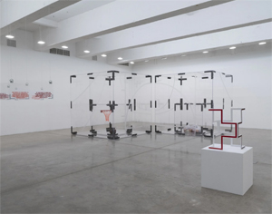 Sherrill Roland's Hindsight Bias (installation view) (Tanya Bonakdar gallery, 2021)