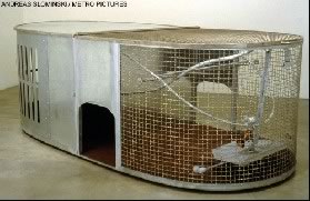Andreas Slominski's Dog Trap (Metro Pictures, 1999)
