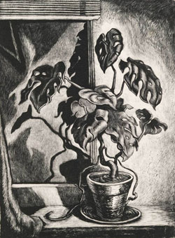 Wanda Gág's Philodendron Pertusum (Whitney Museum, 1945)